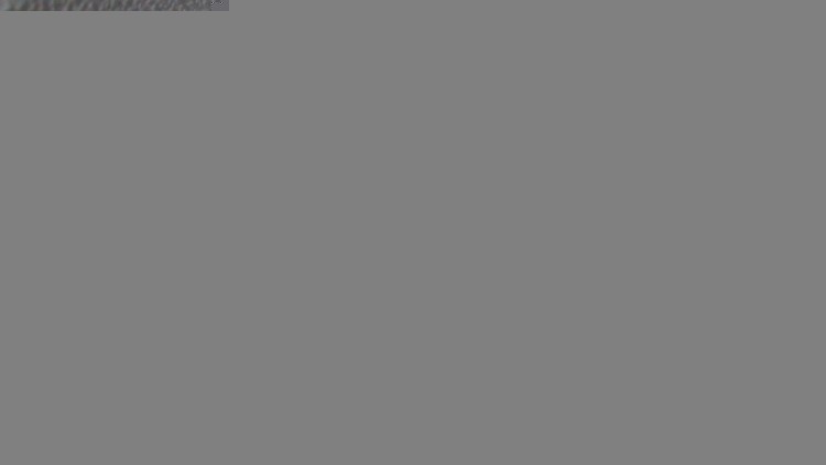 Renault Captur 1.5 DCi EXCLUSIVE